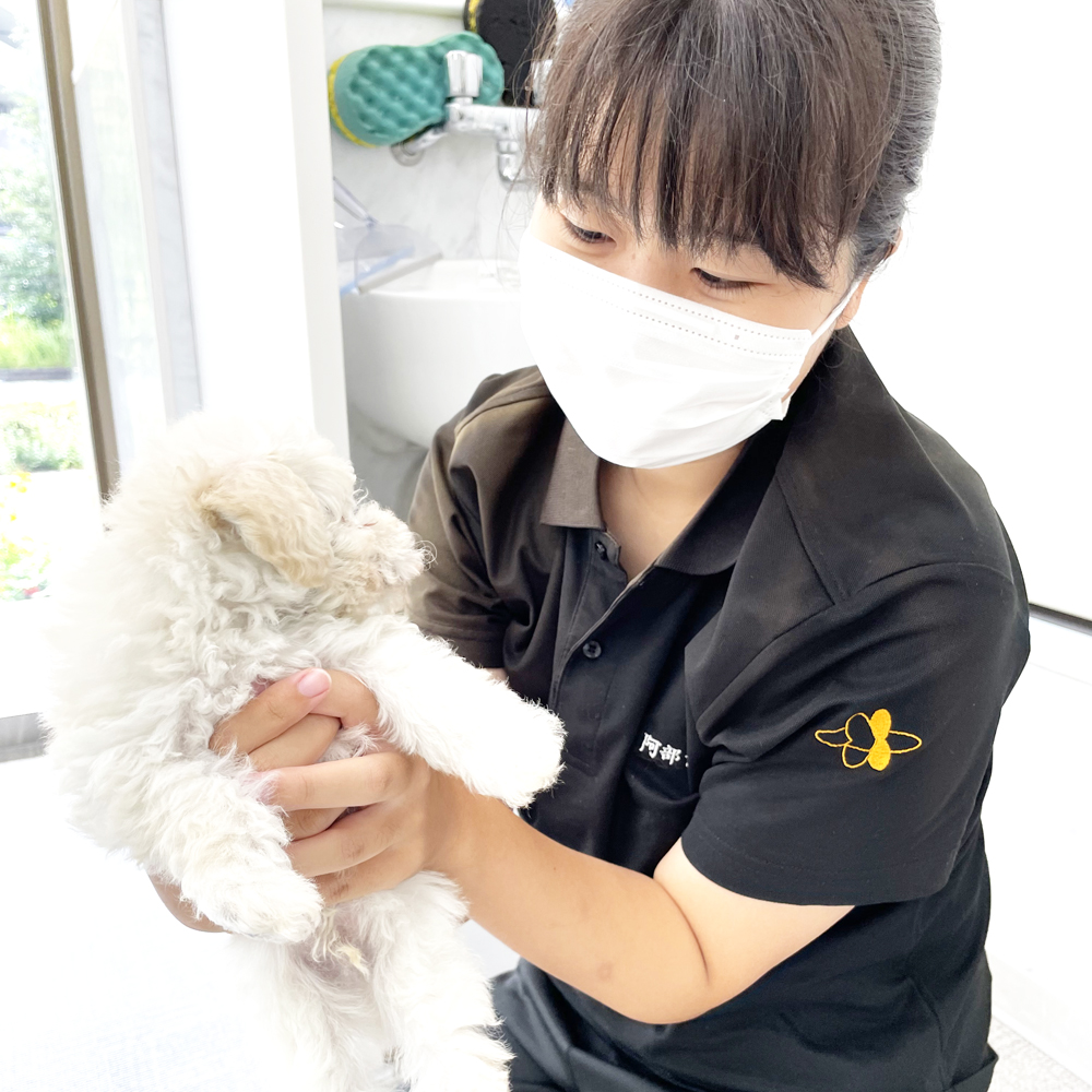 ペットショップ実習♪